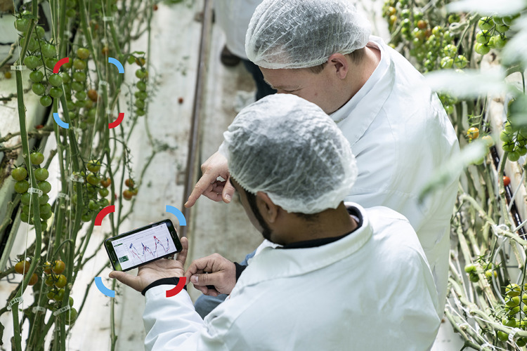 Smart food production